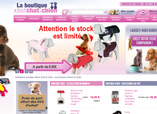 boutique chat chien